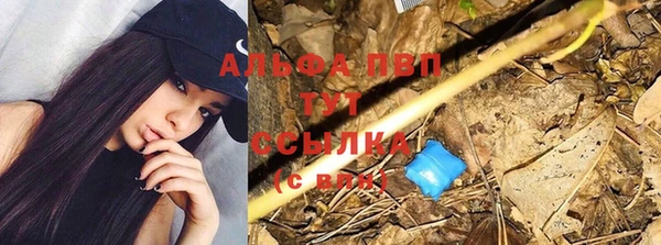 круглые Нягань