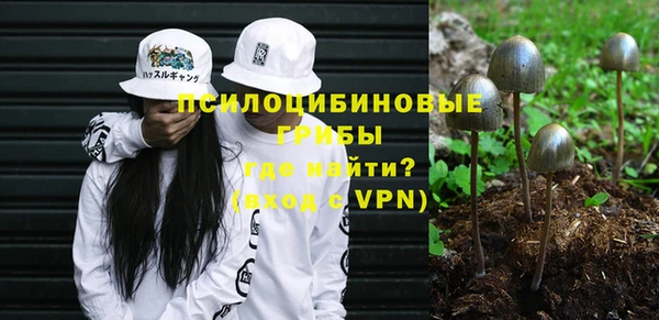 мескалин Няндома