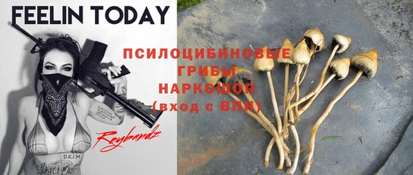 стаф Нязепетровск