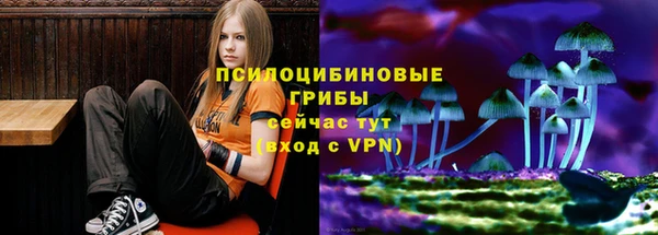 стаф Нязепетровск