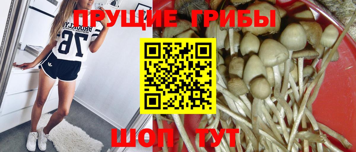 Галлюциногенные грибы мицелий  Волоколамск 