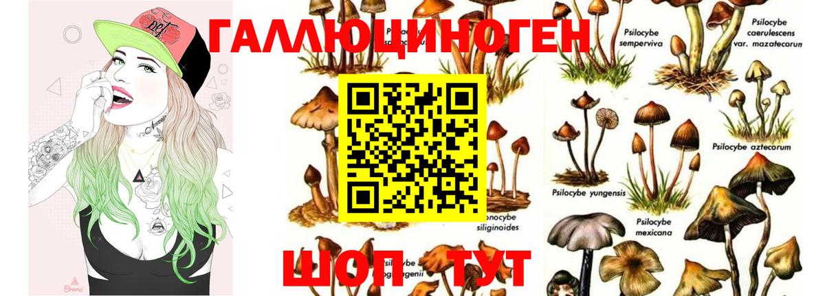 Волоколамск  Псилоцибиновые грибы мухоморы  Псилоцибиновые грибы Psilocybe  Вход с VPN 