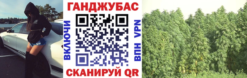 mega зеркало  купить наркоту  Волоколамск  Бошки марихуана план 